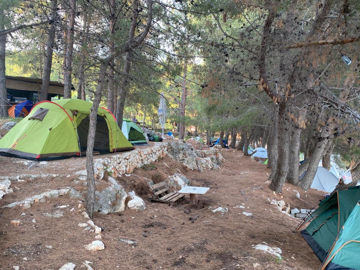מלון הימארה Pine Side Camp מראה חיצוני תמונה