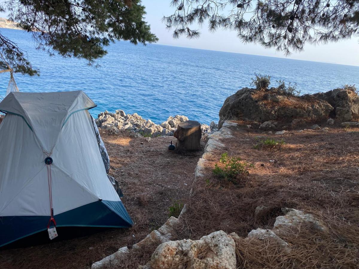 מלון הימארה Pine Side Camp מראה חיצוני תמונה