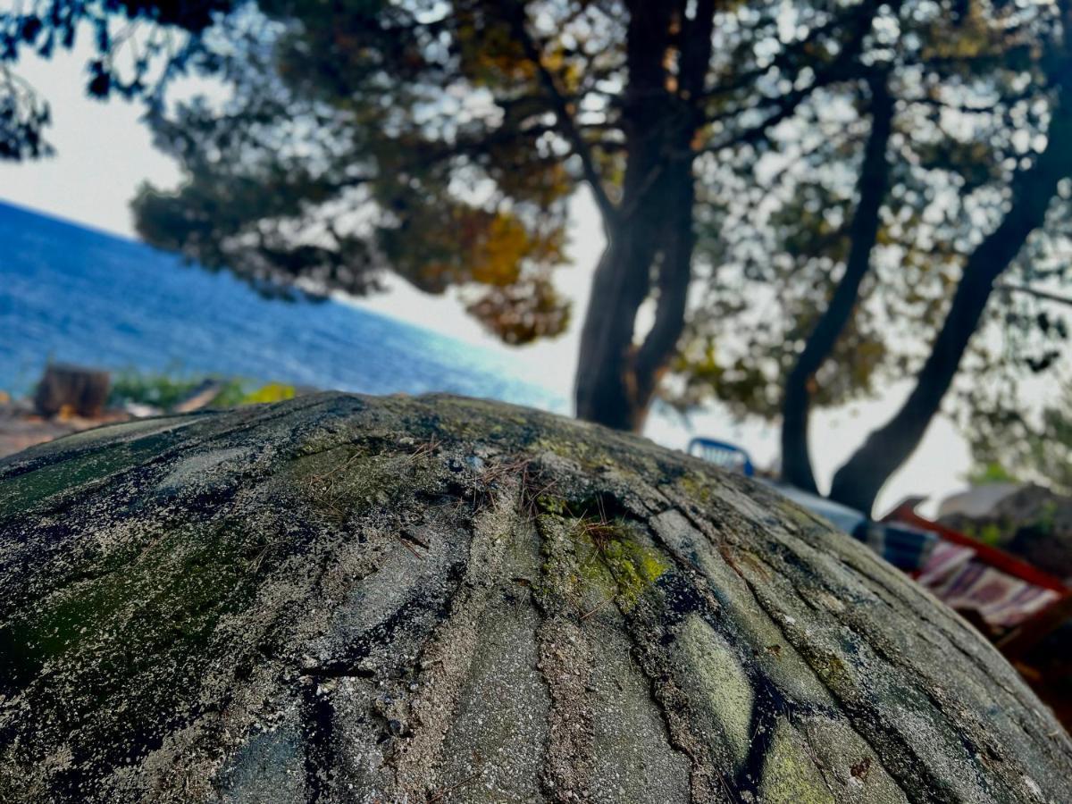 מלון הימארה Pine Side Camp מראה חיצוני תמונה