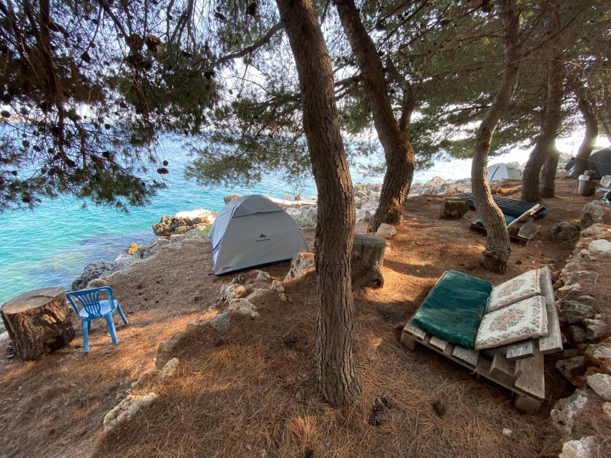 מלון הימארה Pine Side Camp מראה חיצוני תמונה